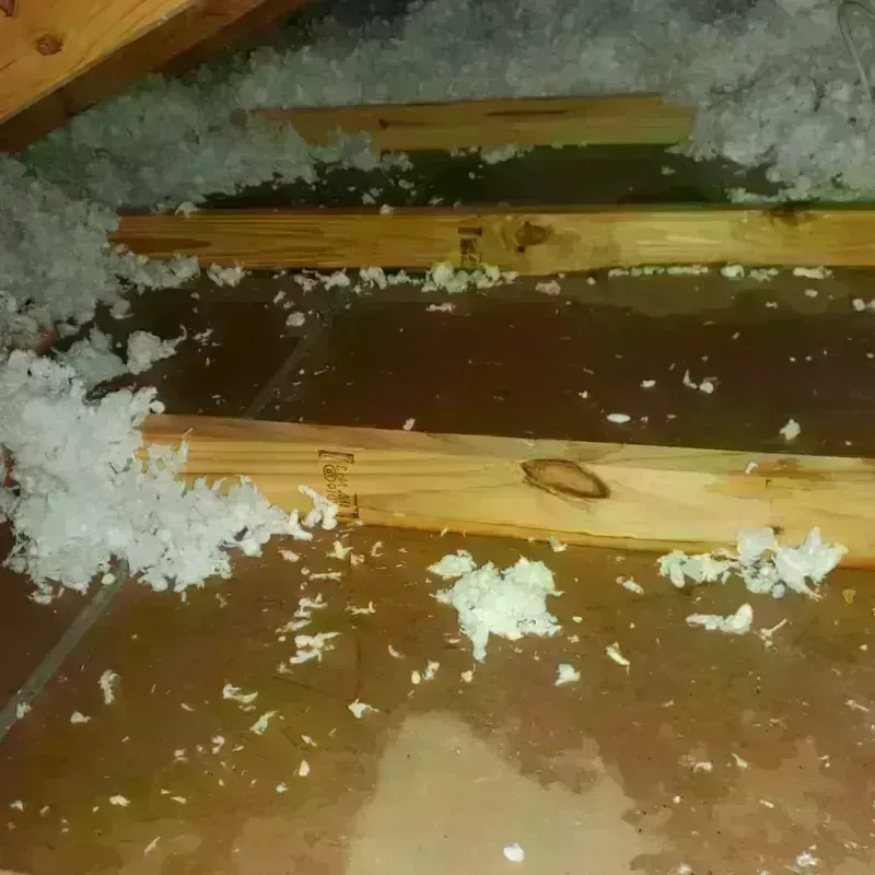 Attic Water Damage in Indian Hills Cherokee Section, KY